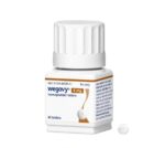 Wegovy Pill USA